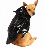 Image result for Bat Pet Costume