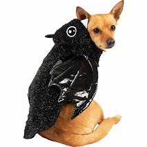 Image result for Bat Dog Costume