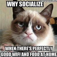 Image result for LOL Grumpy Cat Memes Clean