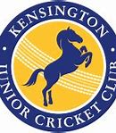 Image result for Box Cricket Logo