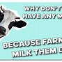 Image result for Honey the Cows Meme