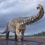 Image result for Largest Dinosaur in the World