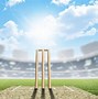 Image result for Cricket Pitch with Wickets