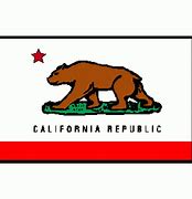 Image result for SF State CA Logo Flag