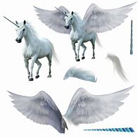 Image result for Pegasus with Horn