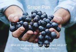 Image result for Grape Jokes