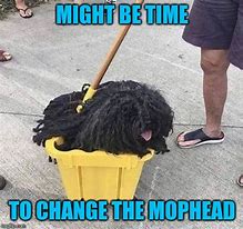 Image result for Mop Head Meme