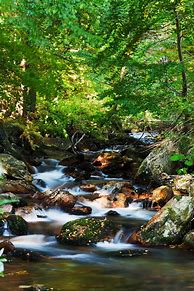 Image result for A Small Stream
