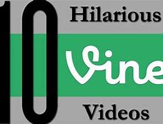Image result for Funny Vine Sayings