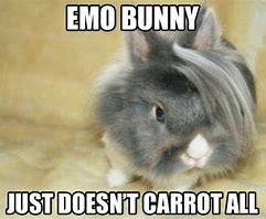 Image result for Angry Rabbit Meme