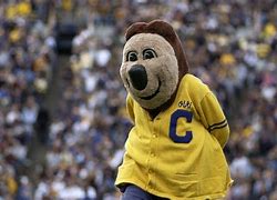 Image result for Worst School Mascots
