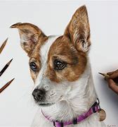 Image result for Dog Lickingt Colored Pencil