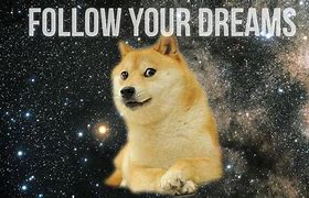 Image result for Galaxy Doge