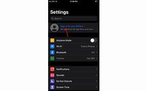 Image result for iPhone Activation Owen Lock