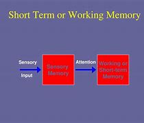 Image result for Working Memory Cartoon