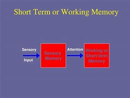 Image result for Short-Term Memory 7