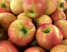 Image result for Honeycrisp Apple Nutrition Facts