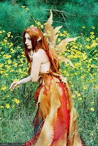 Image result for Autumn Fairy Costume