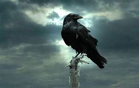 Image result for Ravens Dark Gothic Backgrounds