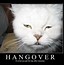 Image result for Vacation Hangover Meme