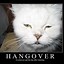 Image result for Hang Up Cat Meme