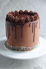 Image result for A Chocolate Cake with Rainbow Sprinkles