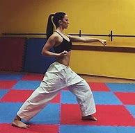 Image result for Martial Arts Woman
