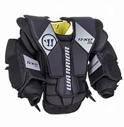 Image result for Goal Protector in Ice Hockey