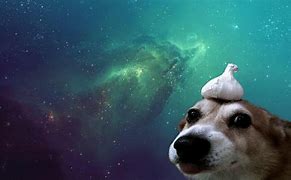 Image result for Cool Desktop Backgrounds Dog
