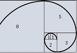 Image result for Fibonacci