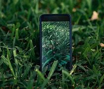 Image result for Google iPhone 13 Green