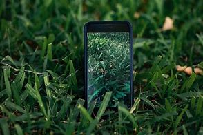 Image result for iPhone Home Screen Aesthetic Neutral Green