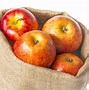 Image result for Sack of Apple's