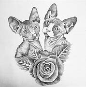Image result for Sphynx Cat with Tattoo