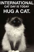 Image result for Happy International Cat Day Meme