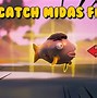 Image result for Midas Fishy