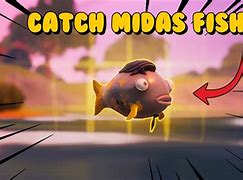 Image result for Midas Fishy