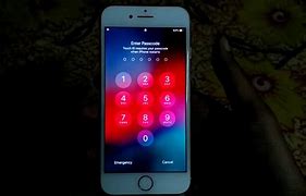 Image result for iPhone Factory Reset Button