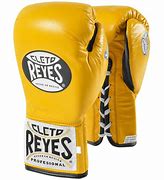 Image result for Professional Boxing