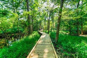 Image result for Hiking Parks Near Me