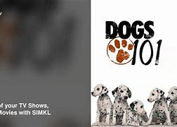 Image result for Dogs 101 TV
