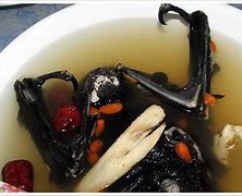Image result for Chinese Bat Soup