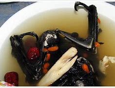 Image result for Bat Soup China