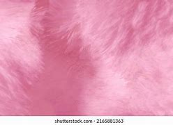 Image result for Fuzzy Picture
