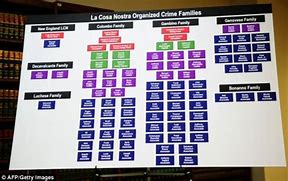 Image result for Mafia Crime Family Chart