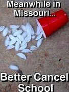 Image result for Missouri Kids Meme