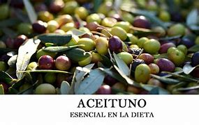 Image result for aceotunero