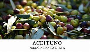 Image result for aceitunkllo