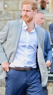 Image result for Prince Harry's Package