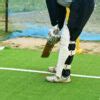 Image result for Cricket Pitch